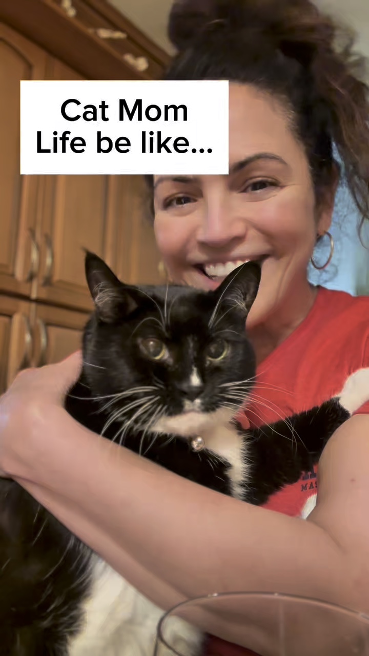 La vida de mamá gato es como