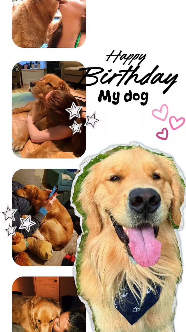 Birthday my dog