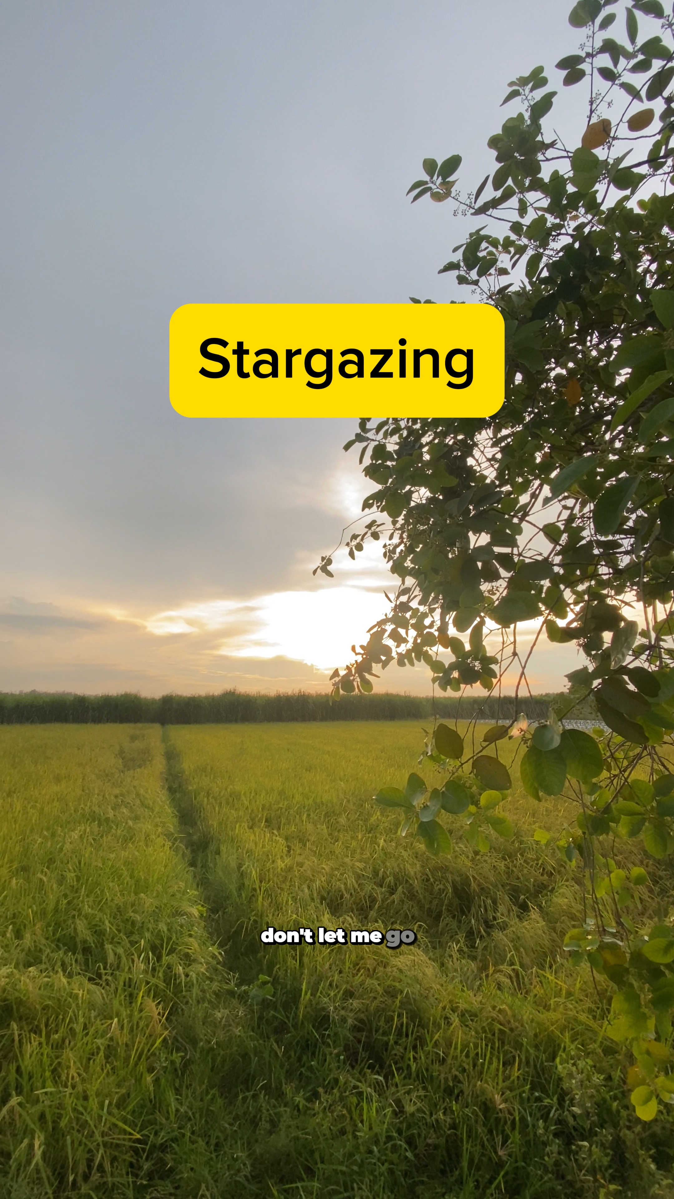 Stargazing • Color 