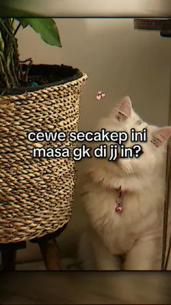 cewe secakep ini