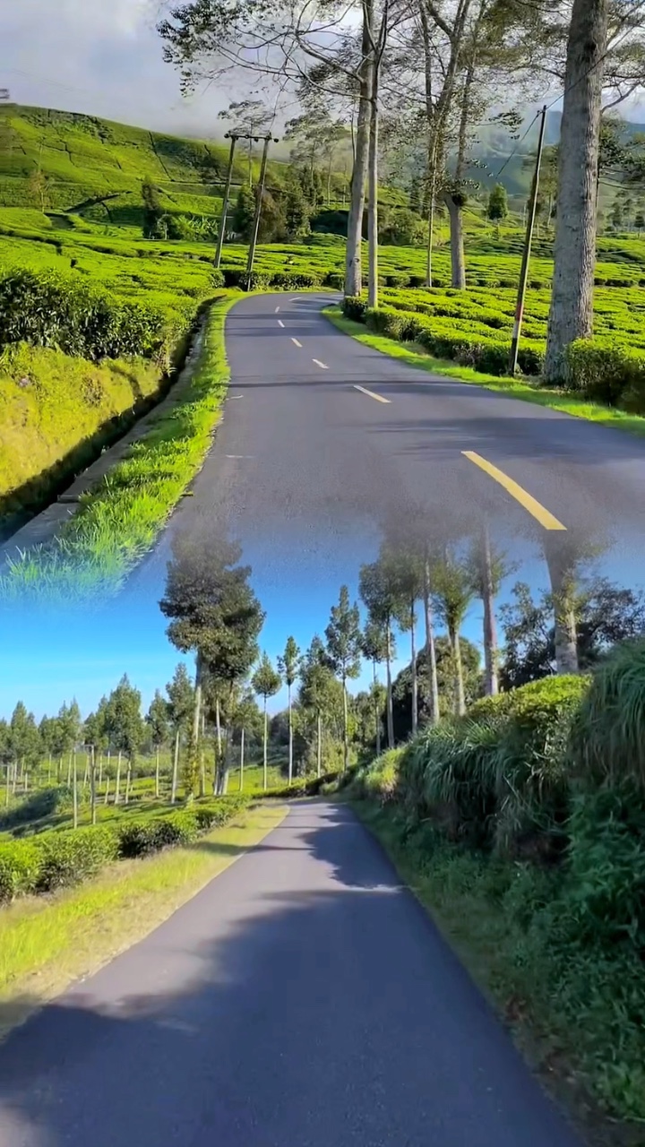 frame 2 video