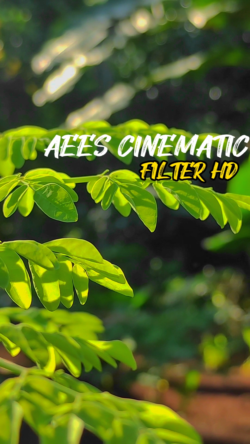 Aees Cinematic