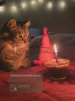 Panjang Umur 