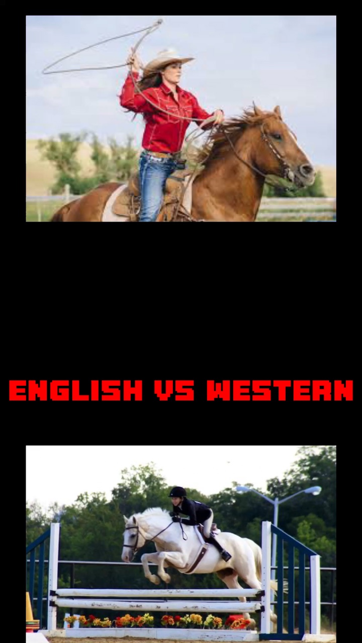 English Vs Western