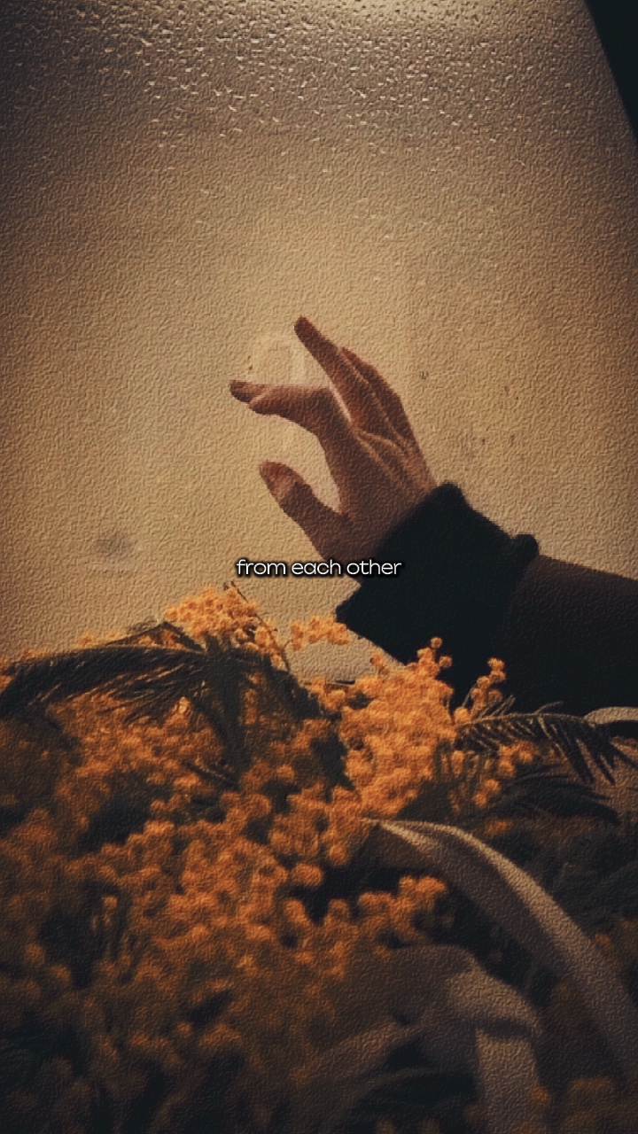 Effet cinématographique❤️