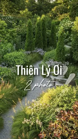 [2] Thiên Lý Ơi