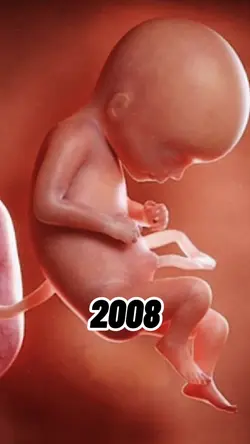 2008 + 2026 me