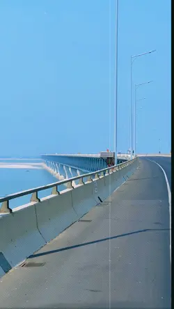 স্লো মোশন ভিডিও