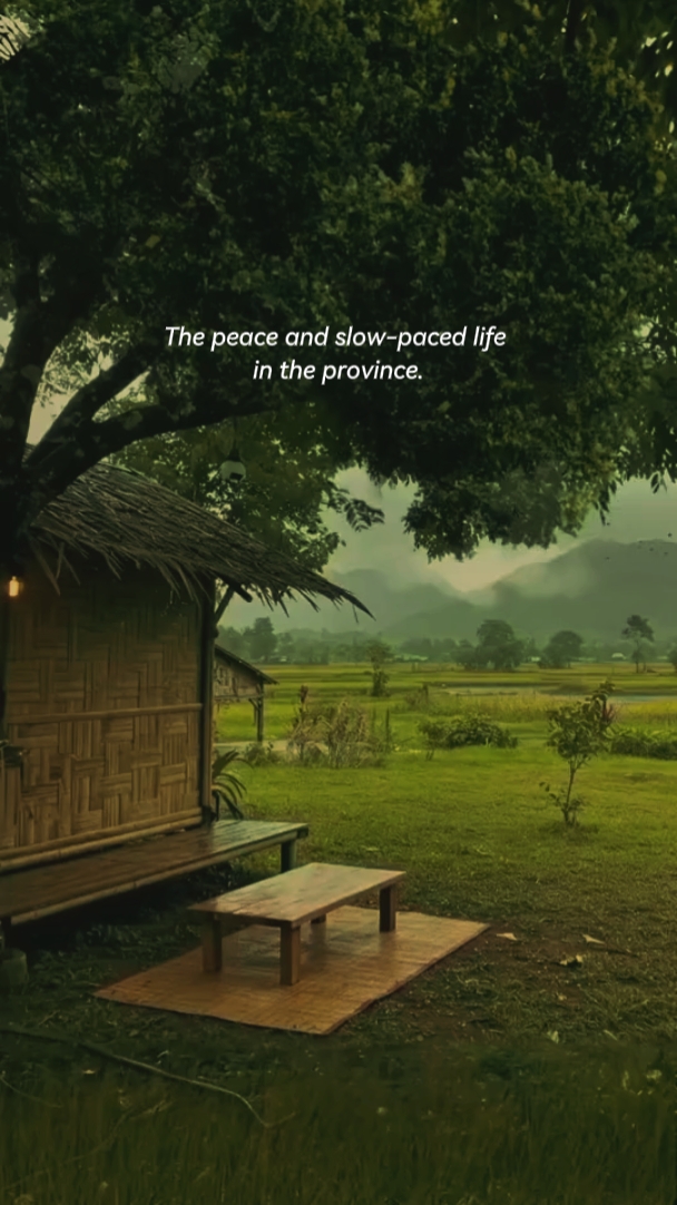 Province life..
