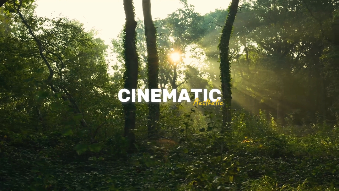 Esthétique cinématographique