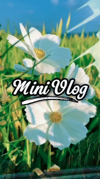VLOG 5 clip 