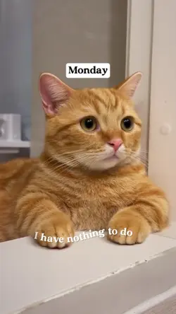 nothing to do