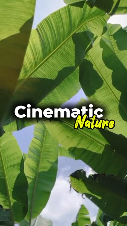 cinematic nature
