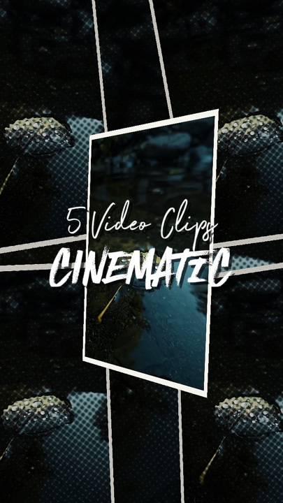 5 videoclips