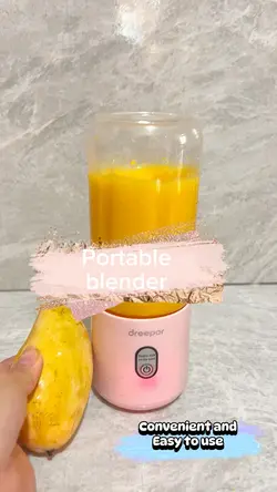 Portable blende