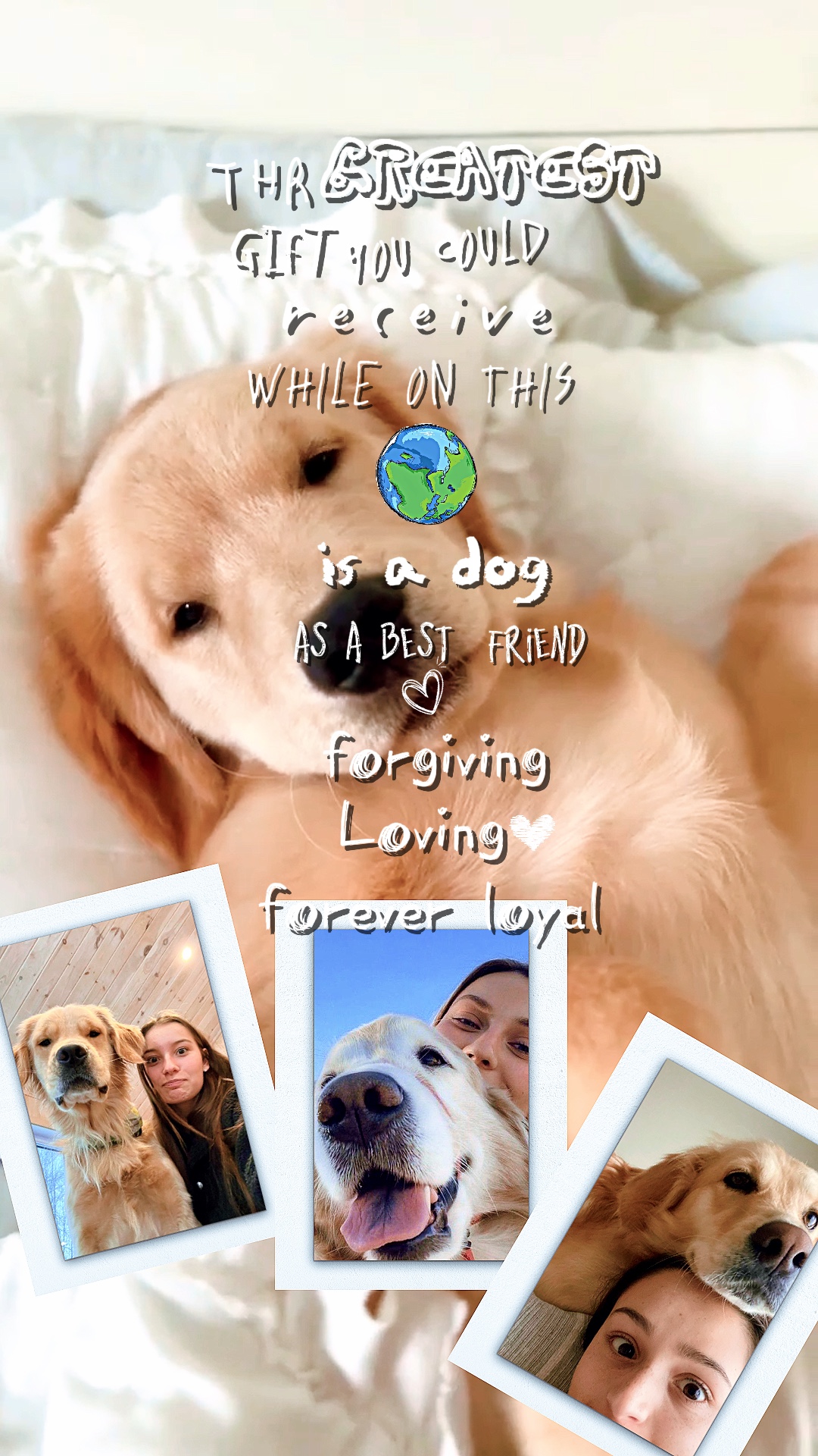Amor de perro 2 🤍