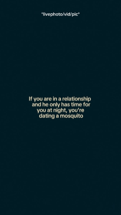 Mosquito