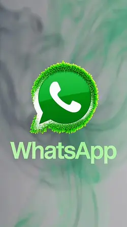 WhatsApp | Pro 3