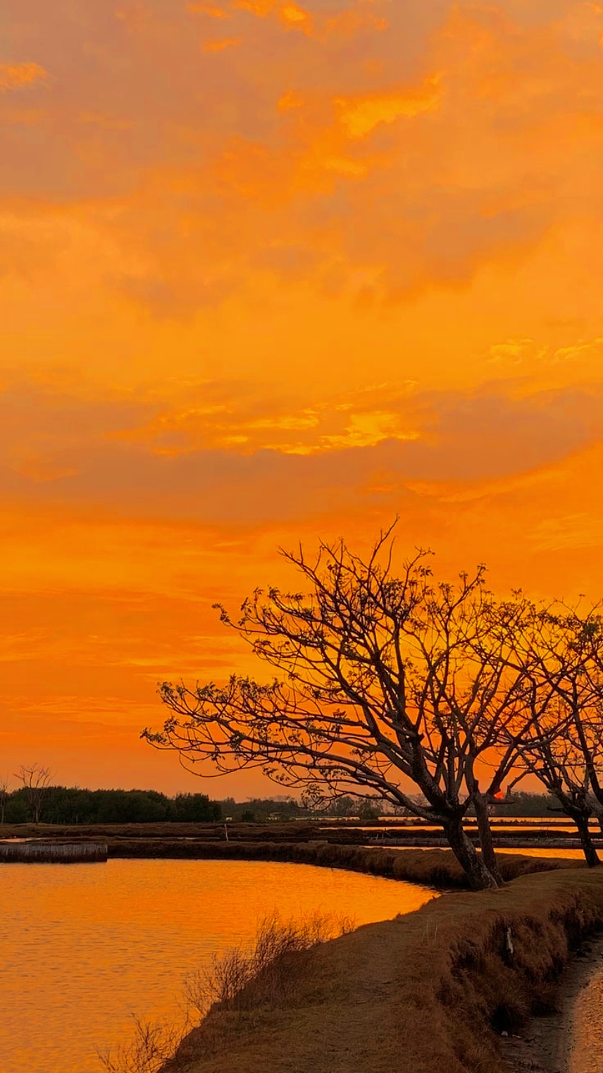 Filtro senja