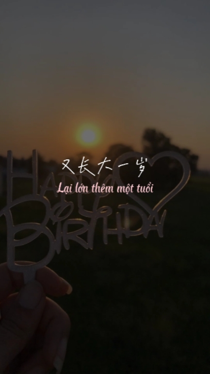 Sinh nh t vui v