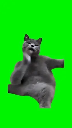 Cat Slapping Meme