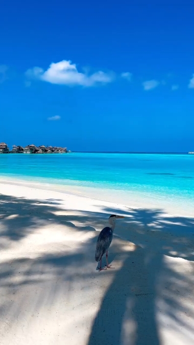 Bela praia 