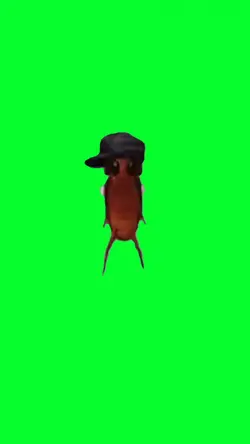COCKROACH DANCE
