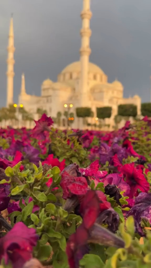 CINEMATIC ISLAMIC 