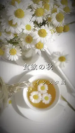 食欲の秋インスタ風