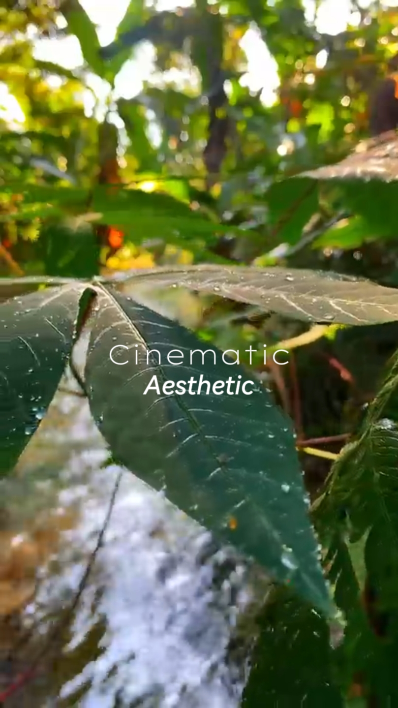 Cinematic aesthetic