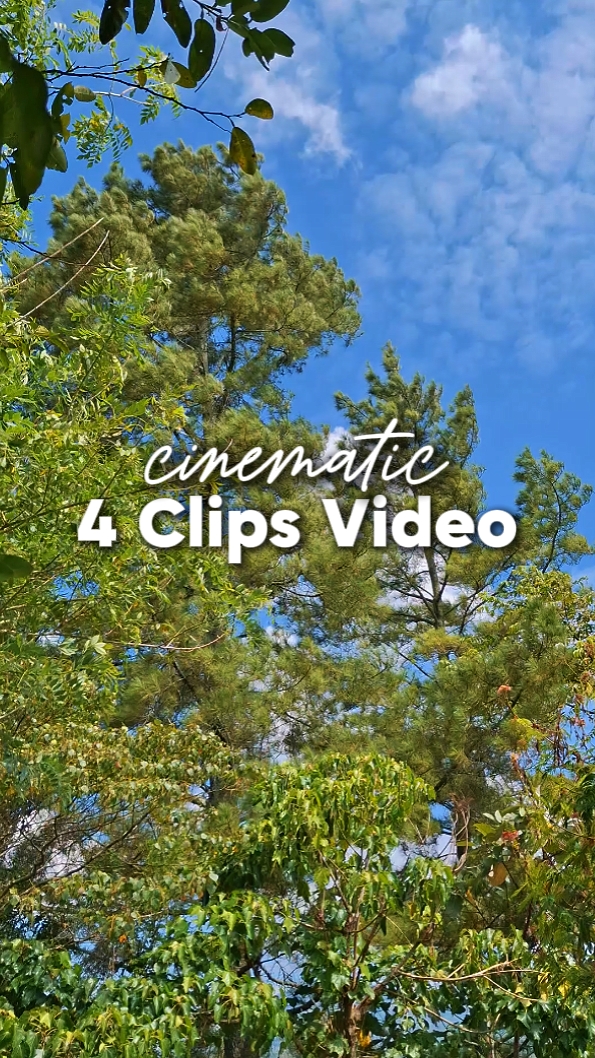 4 Vidéo Cinématique