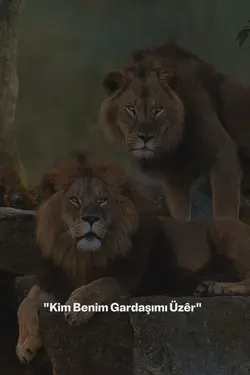Kardeş şablonu 