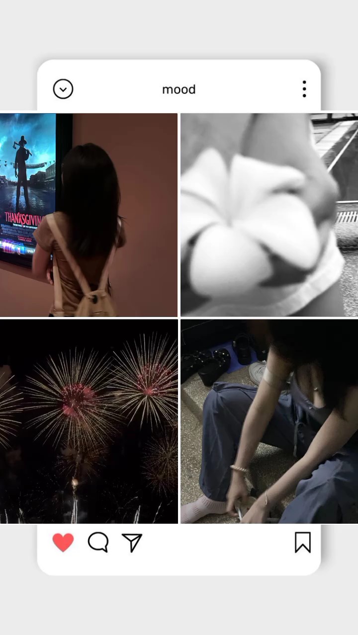 4picture/video 