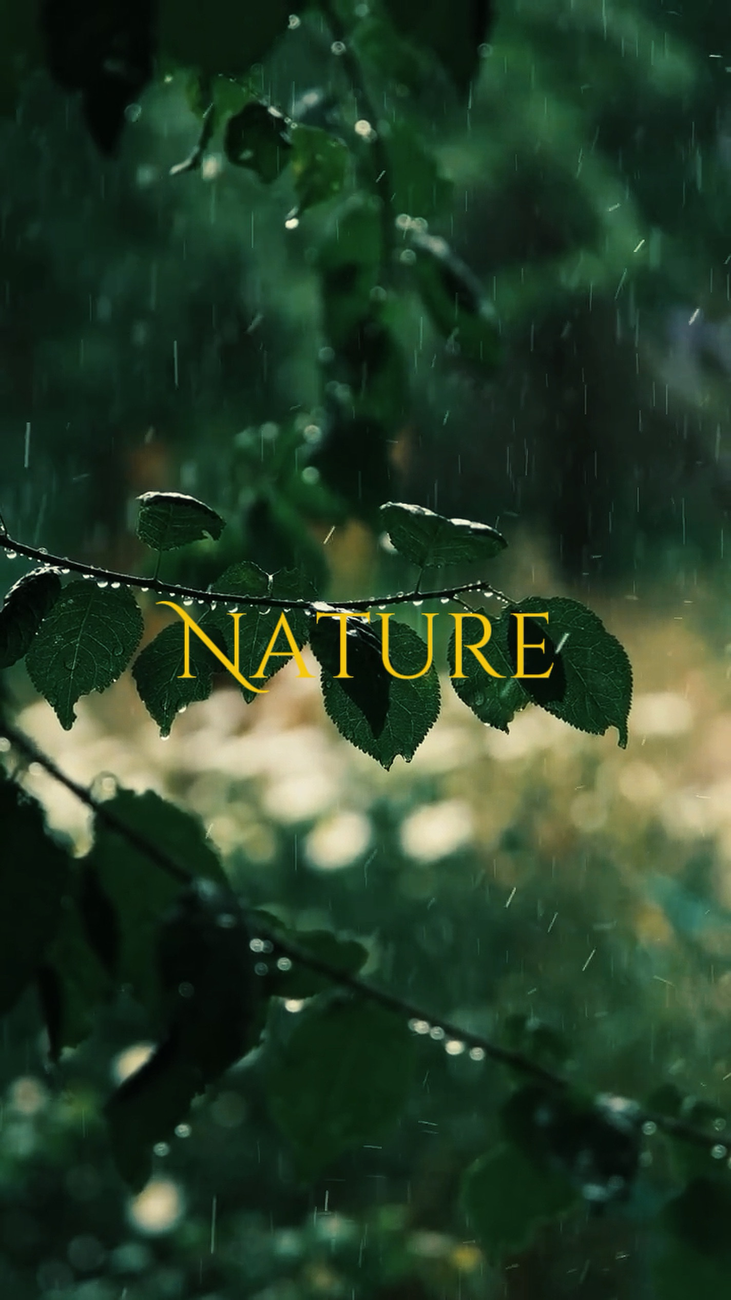 Nature 