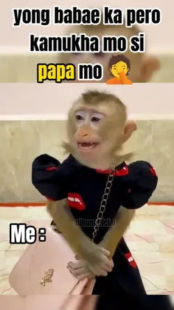 monkey MEMES