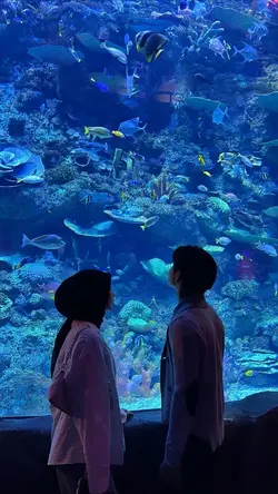 Aku slalu bermimpi t