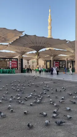 CINEMATIC ISLAMIC 
