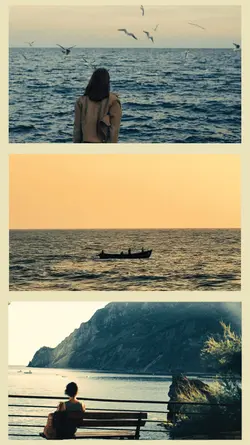 moments cinematic