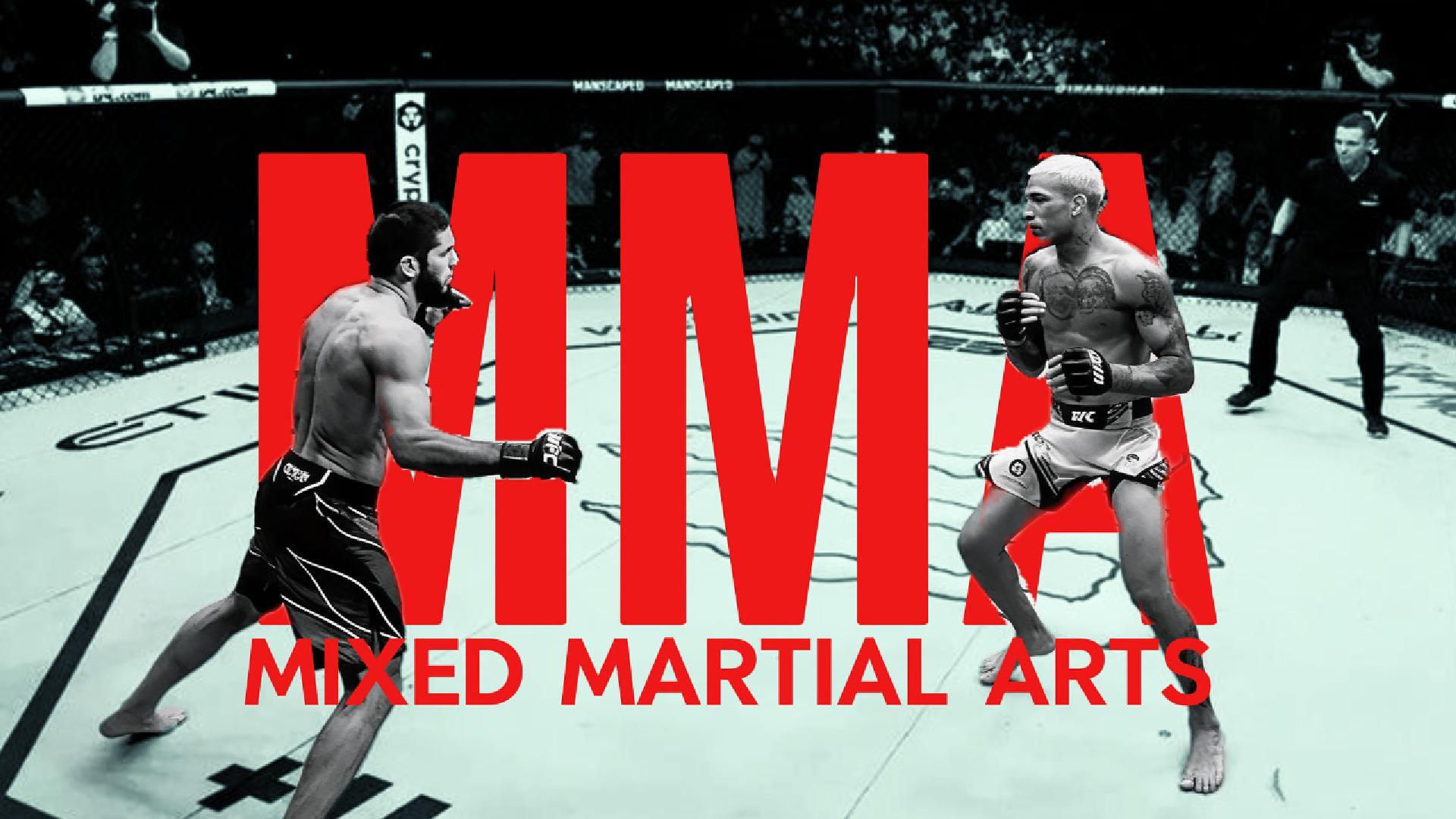 mixed martial arts