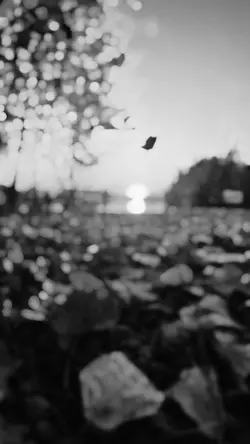 Dark Slowmotion