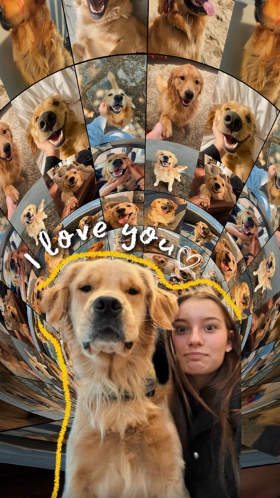 My pets 