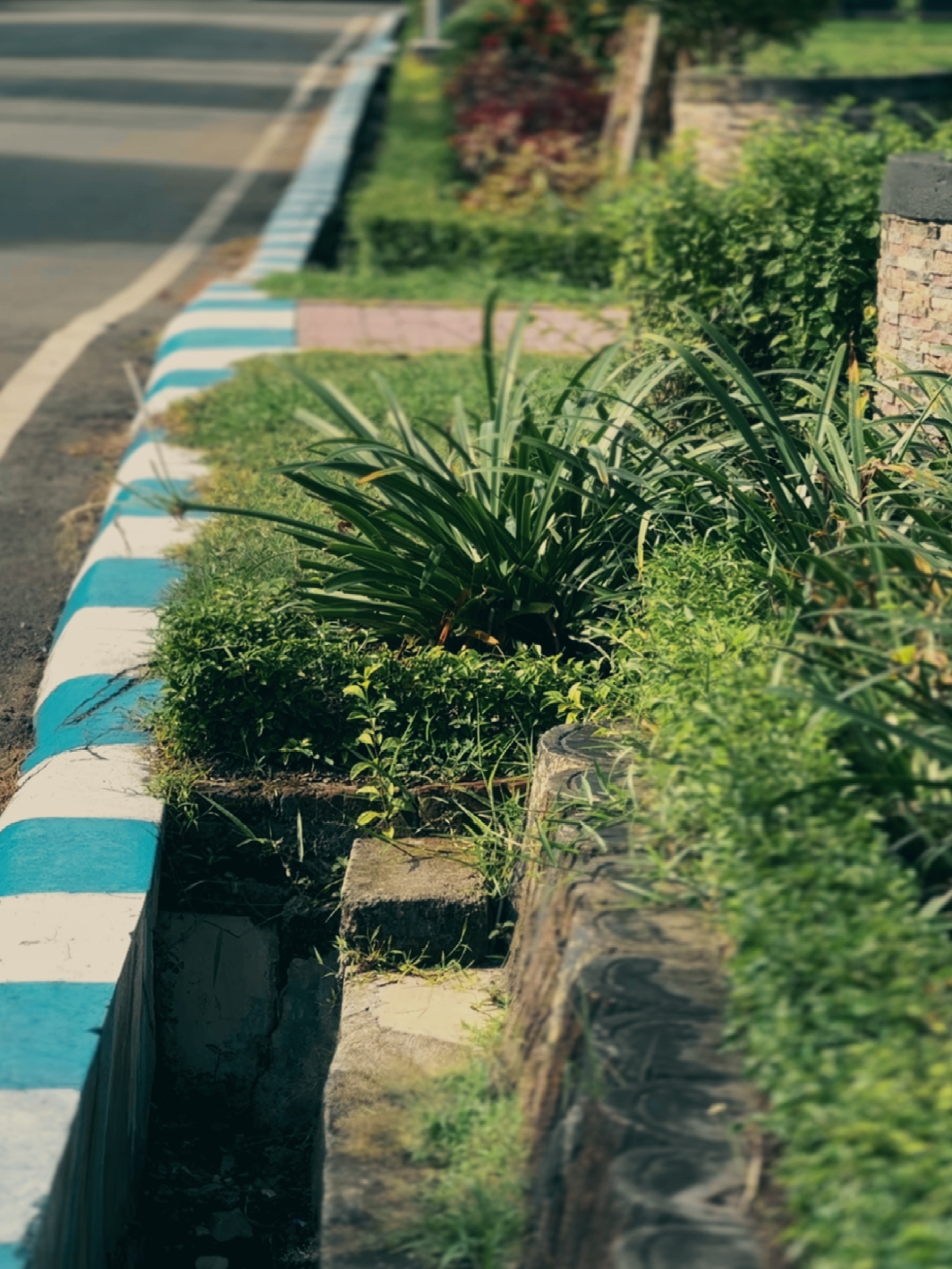 4k color grading
