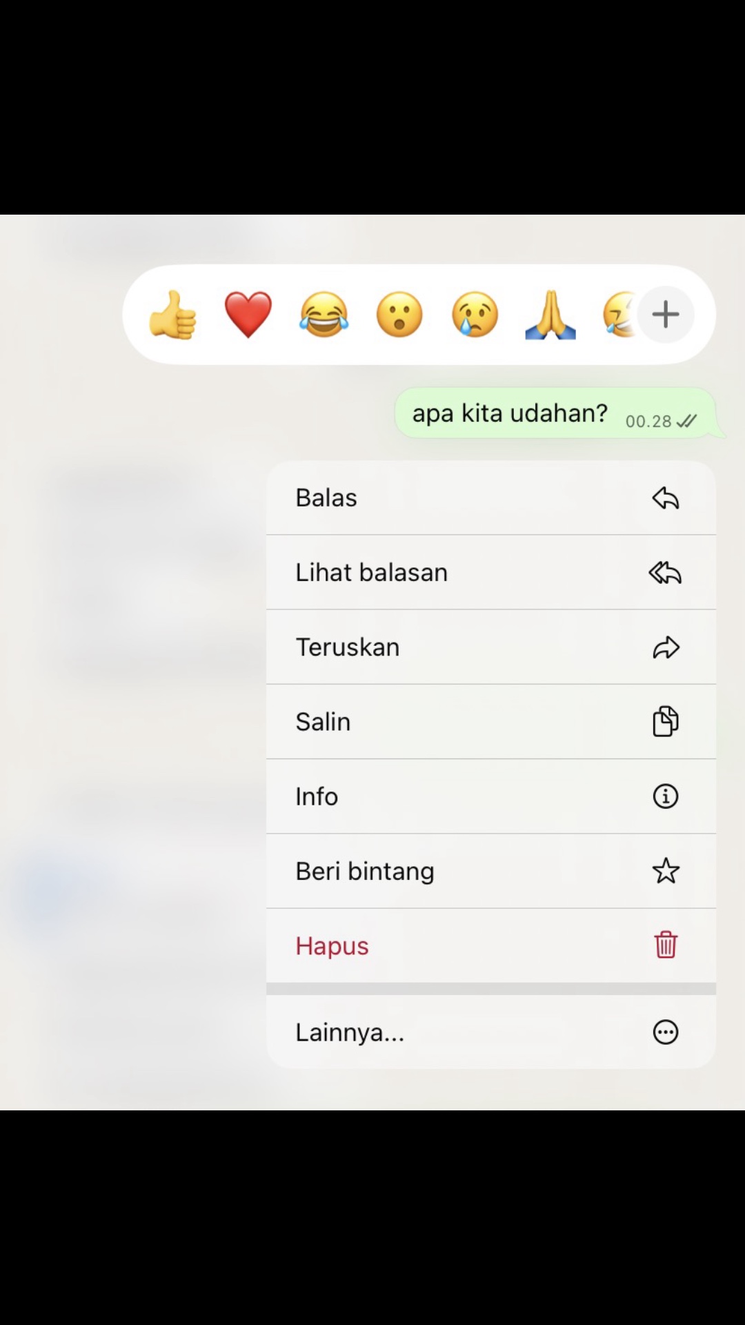 Apa kita udahan