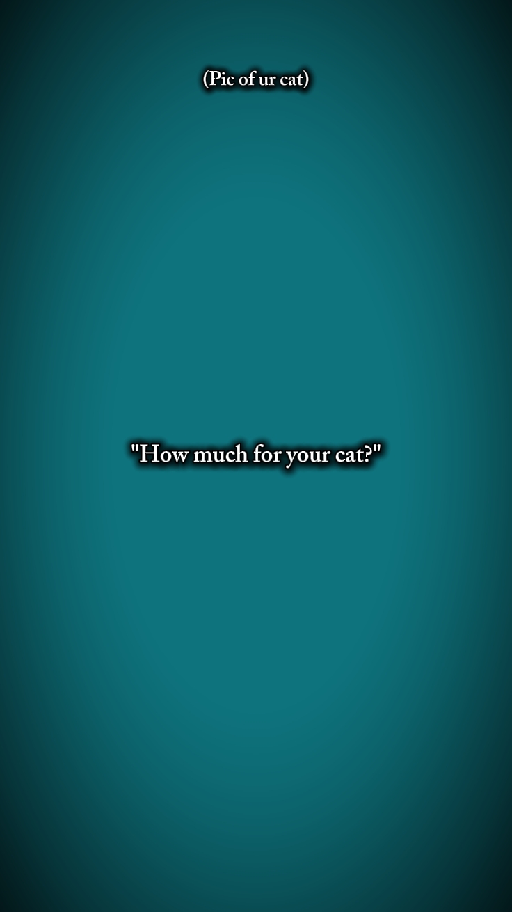 your cat