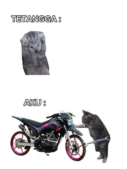 VERSI SUREX
