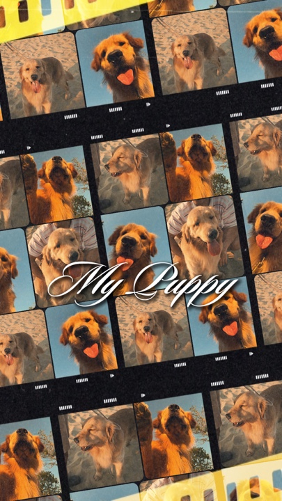 Mein Welpe 
