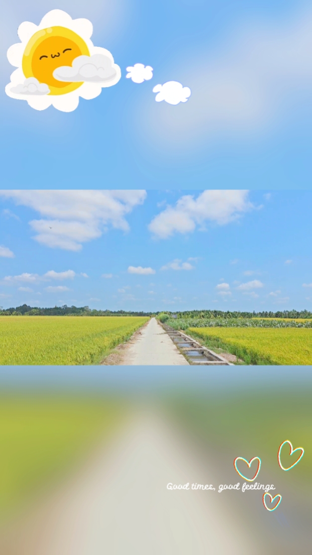 Mẫu 5 video ngang