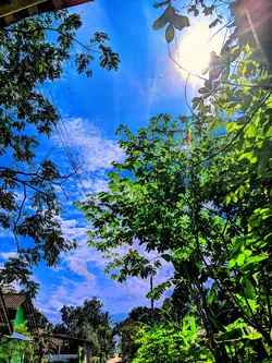 1 Klip Filter IPhone