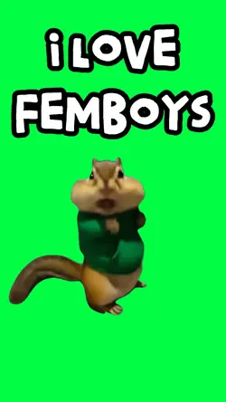 I LOVE FEMBOYS SONG