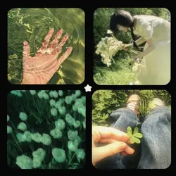 4pic:>